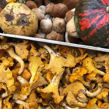 罗坎达中央宾馆 卡普里诺韦罗内塞